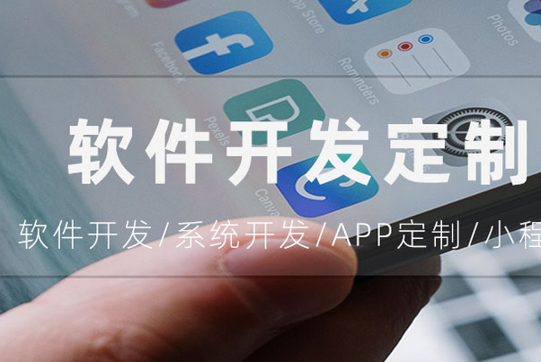 access可以开发软件吗